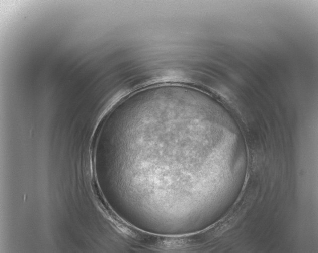 X0000054401274200508051704