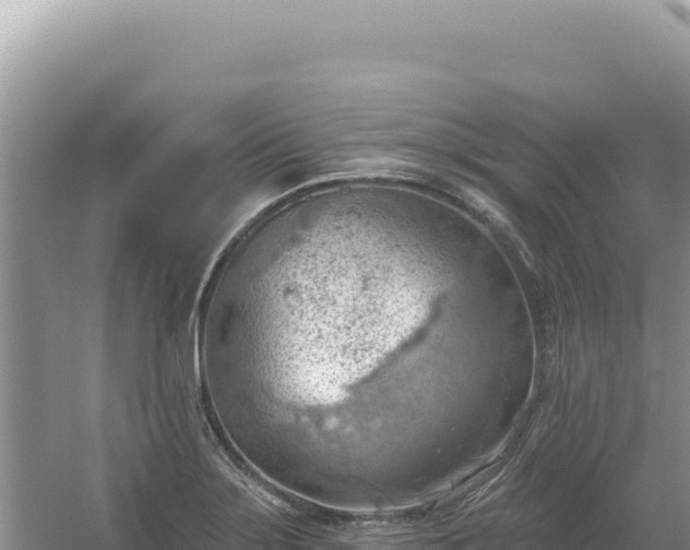 X0000054401275200508051704