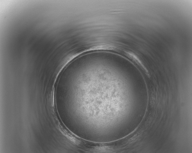 X0000054401276200508051704