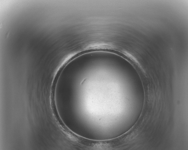 X0000054401277200508051704