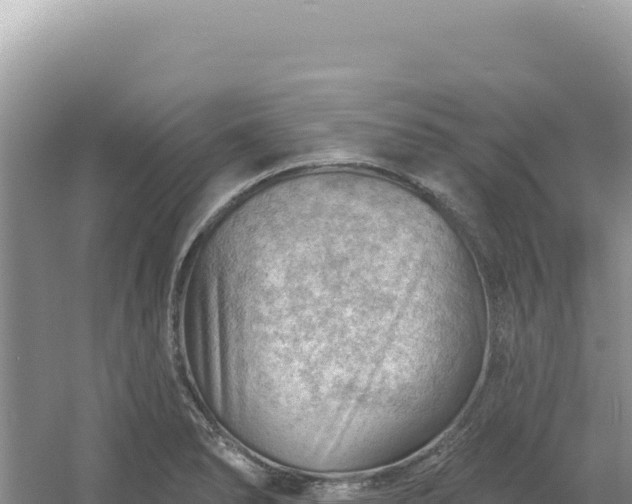 X0000054401278200508051704