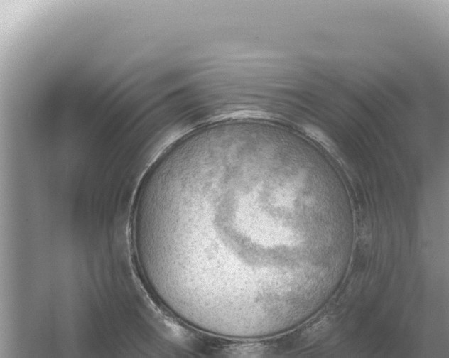 X0000054401282200508051704