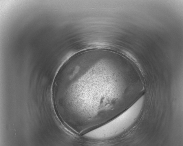 X0000054401283200508051704