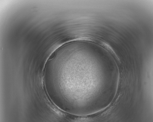 X0000054401284200508051704