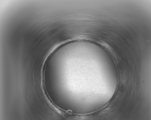 X0000054401286200508051704