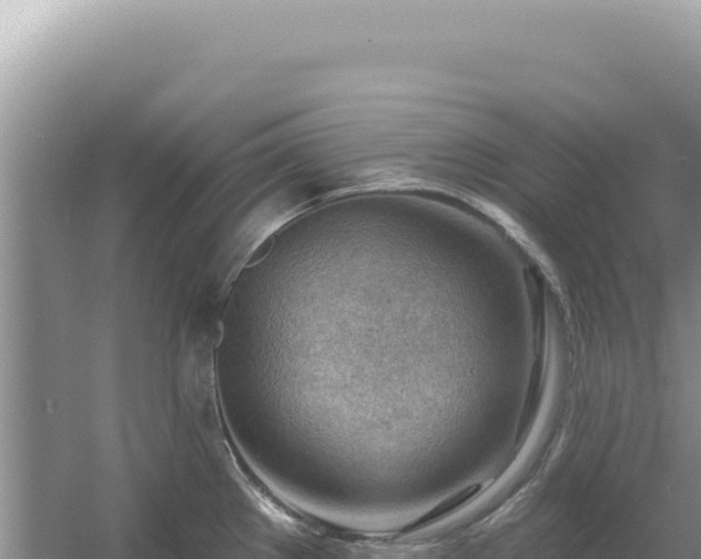 X0000054401289200508051704