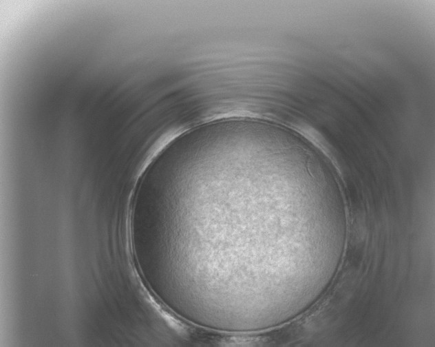 X0000054401290200508051704