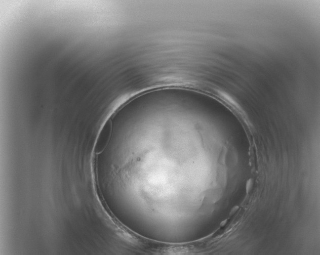 X0000054401291200508051704