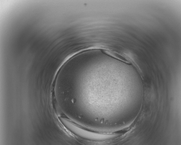 X0000054401292200508051704