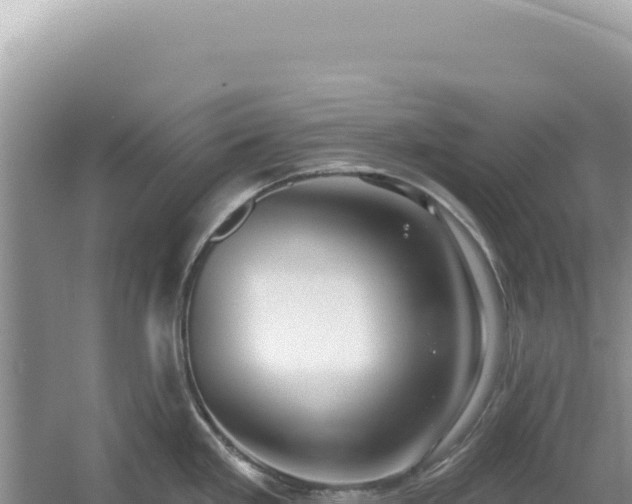 X0000054401293200508051704