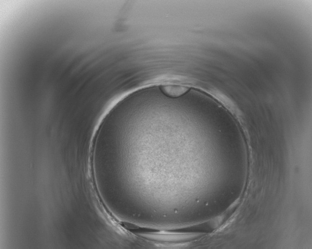 X0000054401296200508051704