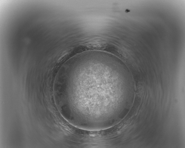 X0000054401297200508051703