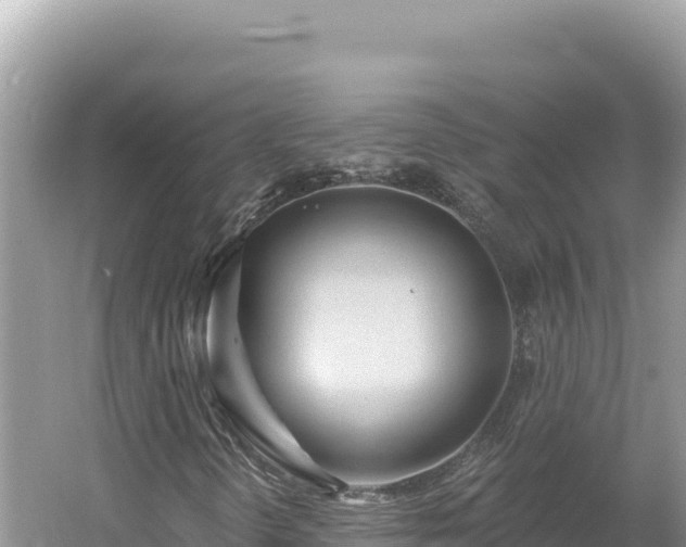 X0000054401298200508051703