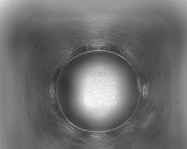 X0000054401299200508051703