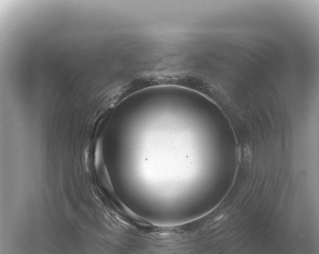 X0000054401300200508051703