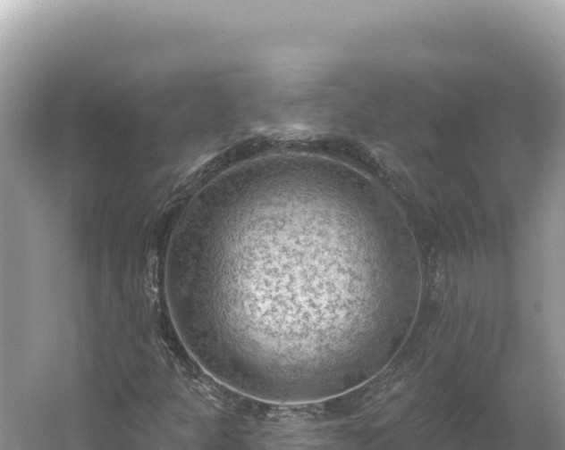 X0000054401301200508051703