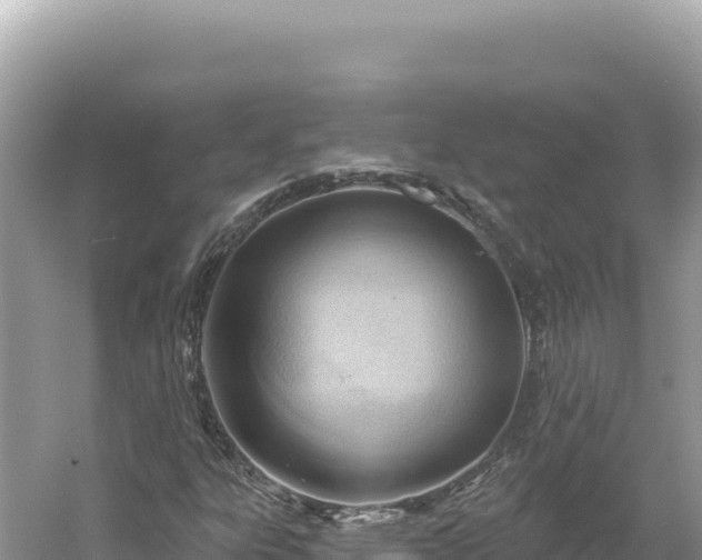 X0000054401303200508051703