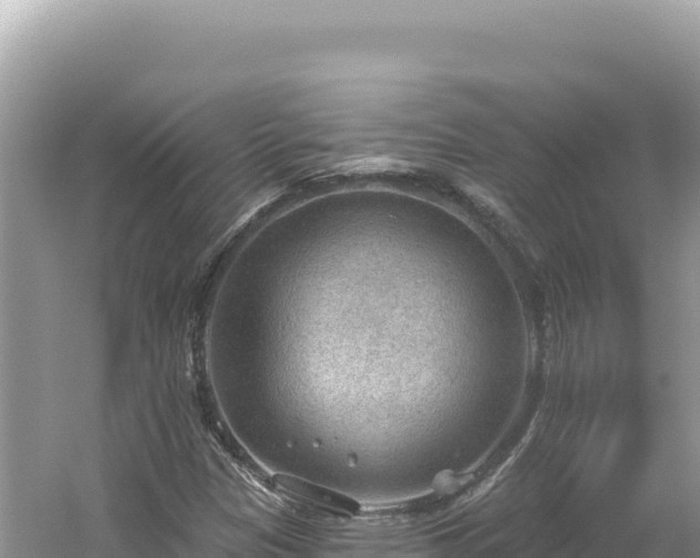 X0000054401305200508051703