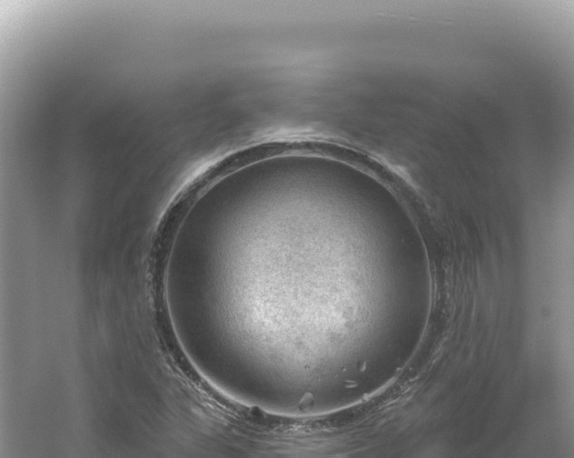 X0000054401311200508051703