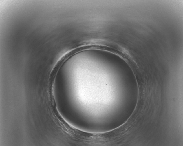 X0000054401312200508051703