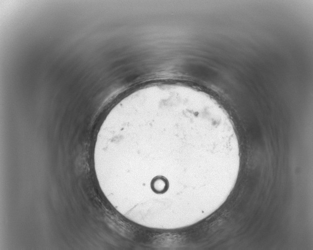 X0000054401314200508051703