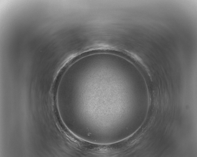 X0000054401318200508051703