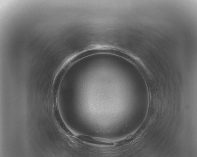 X0000054401319200508051703