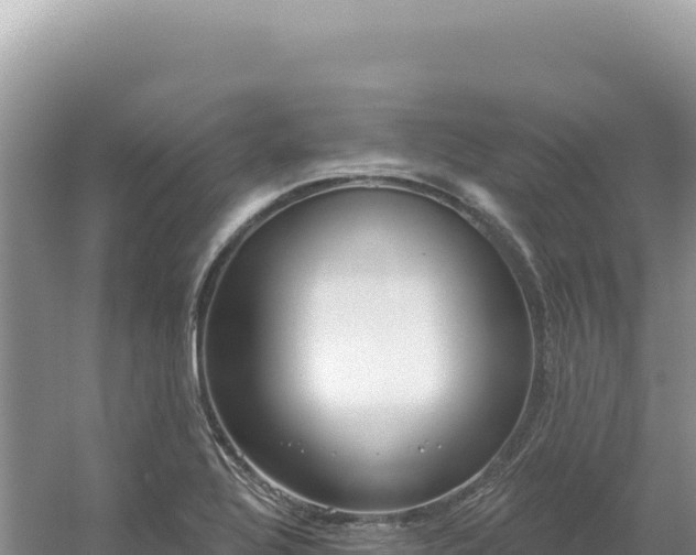 X0000054401320200508051703