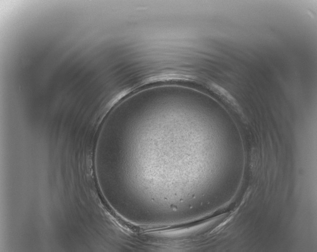 X0000054401321200508051703