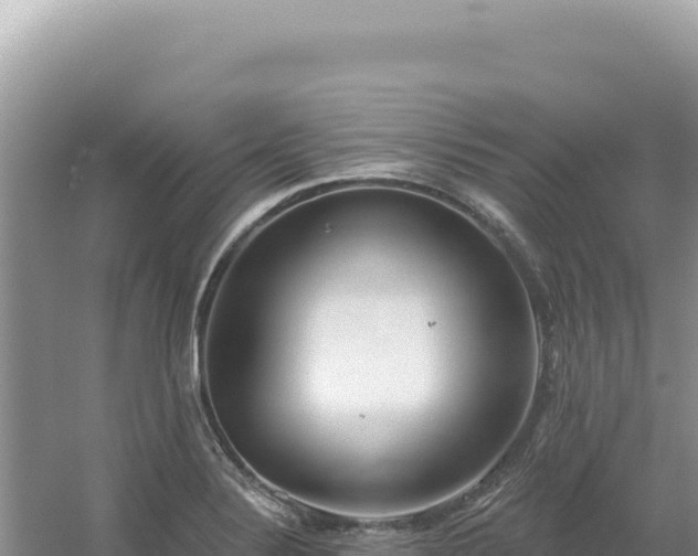 X0000054401324200508051703