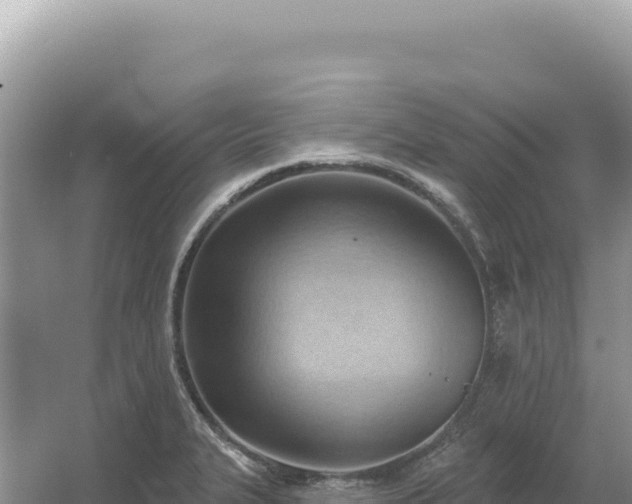 X0000054401327200508051703