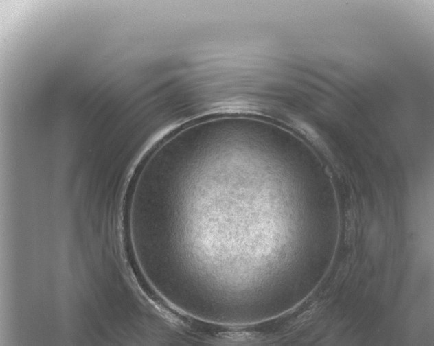 X0000054401331200508051703