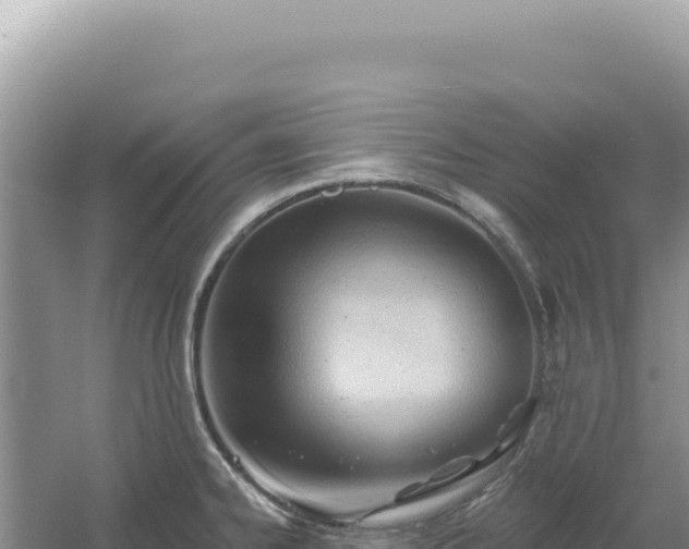 X0000054401334200508051703