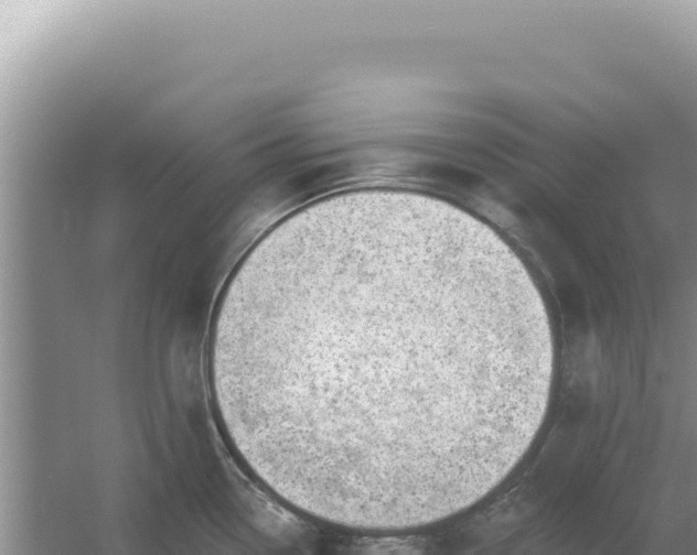 X0000054401338200508051703