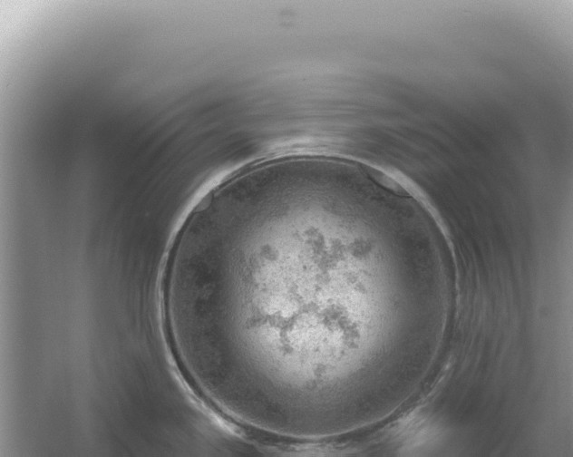 X0000054401341200508051703