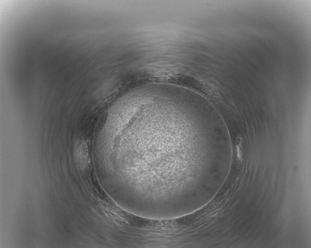 X0000054401347200508051703