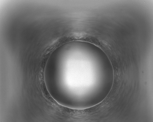 X0000054401349200508051703