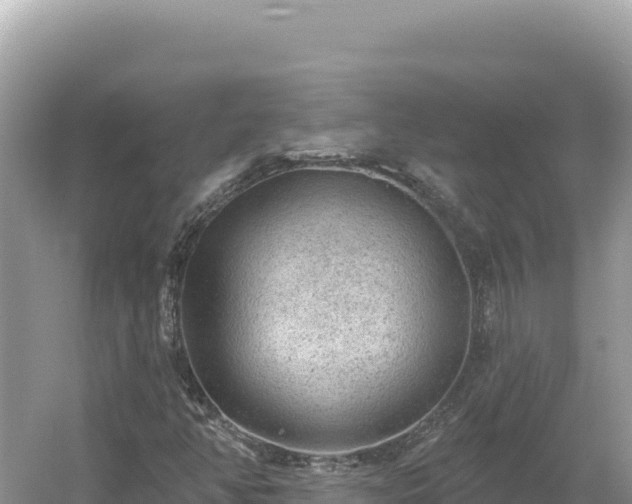 X0000054401350200508051703