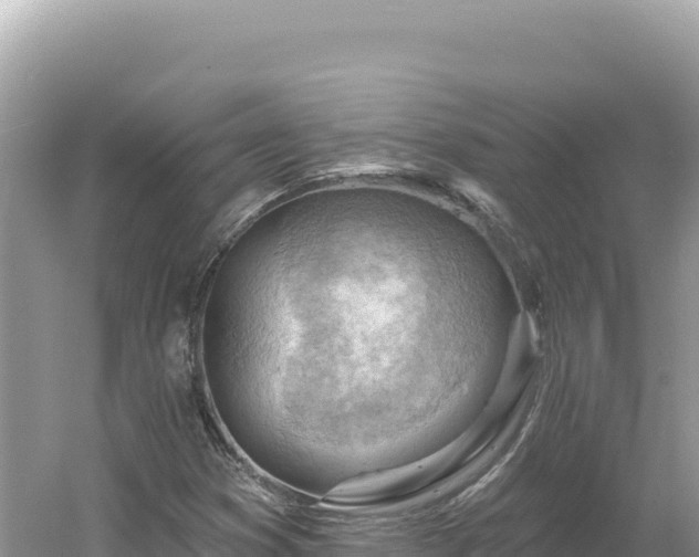 X0000054401353200508051703