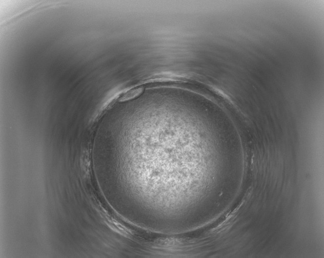 X0000054401355200508051702