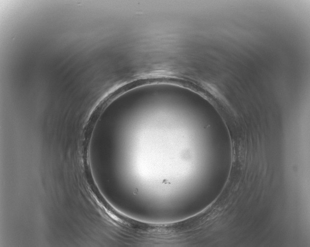 X0000054401356200508051702