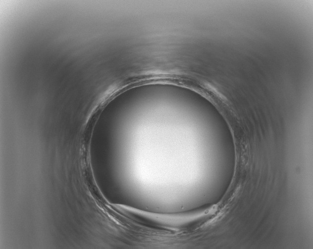 X0000054401357200508051702