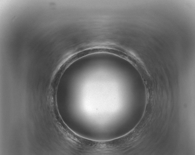 X0000054401360200508051702