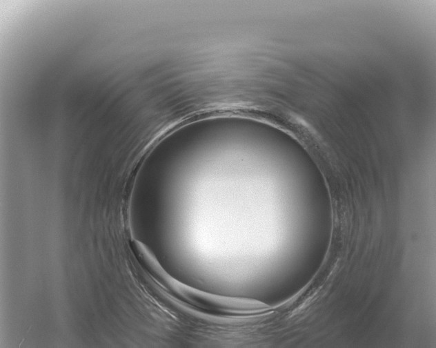 X0000054401361200508051702