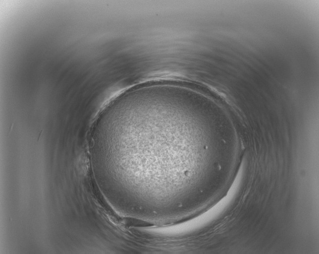 X0000054401363200508051702