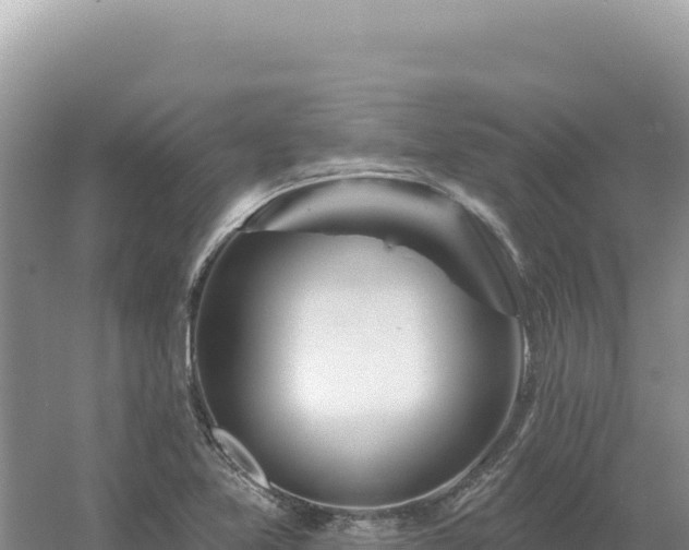 X0000054401365200508051702