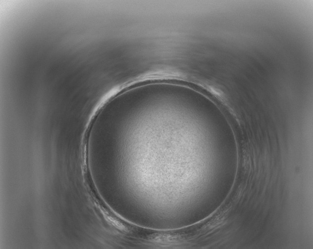 X0000054401366200508051702