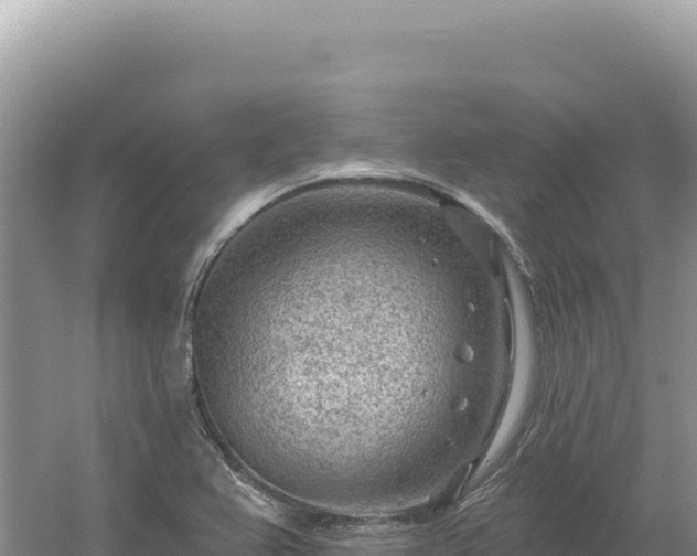 X0000054401367200508051702