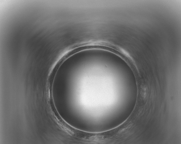 X0000054401368200508051702