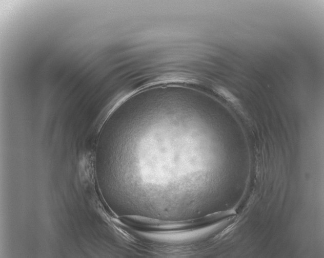 X0000054401369200508051702